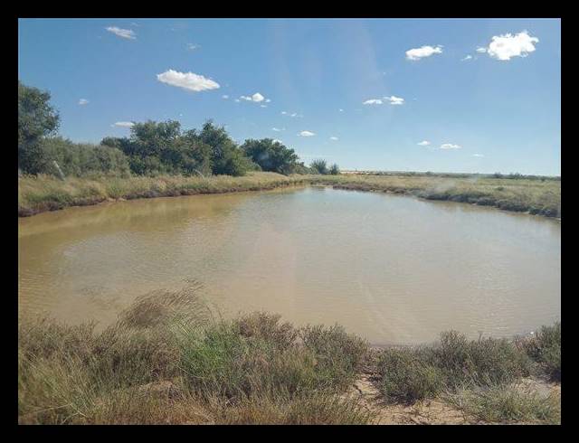 FARM FOR SALE IN KENHARDT